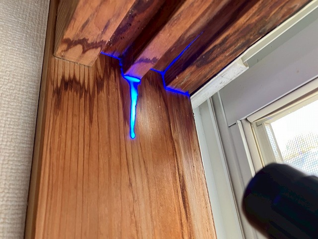 レインボービューシステム調査中写真